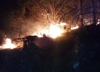Vlora mbulohet nga tymi i zi, flakët përfshijnë zonën e inerteve të Nartës