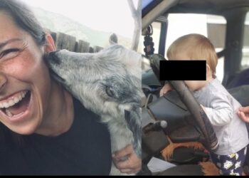 56-vjeçari vret ish-partneren bashkë me foshnjen 11-muajshe, në fund vret veten