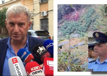 ‘3000 euro për parcelën me kanabis’, Sekretari i bashkisë së Vaut të Dejës denoncon shefin e komisariatit