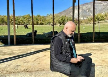 Rama: Në Dibër kanë nisur të duken frytet e një pune plot mund e durim mbi djerrinën që la pas e Djathta e Rublave