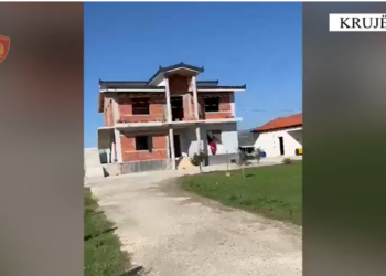 ‘Shtëpi bari’ në Krujë/ OSHEE e Policia zbulojnë hilenë arrestohet 23-vjeçarit që po thante 5 kg kanabis