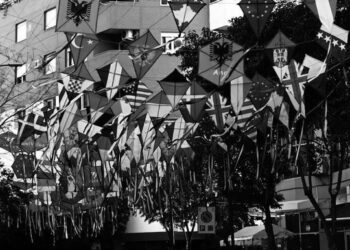 Historia e rrugës së Bogdanëve!