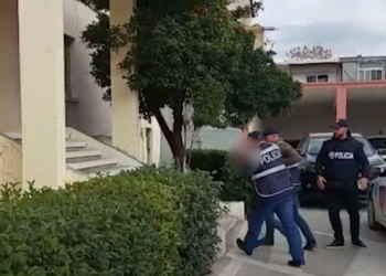 “Ai e preku në pjesën e sipërme të…”/ Arrestohet manjaku 61-vjeçar në Lushnje, ngacmoi seksualisht të miturën