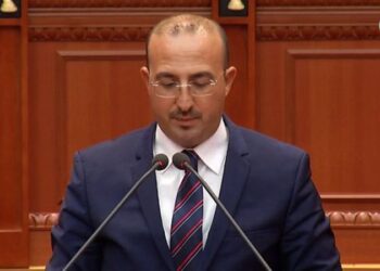 Ana e panjohur e deputetit demokrat: Kam punuar 6 vjet në piceri për të mbajtur familjen