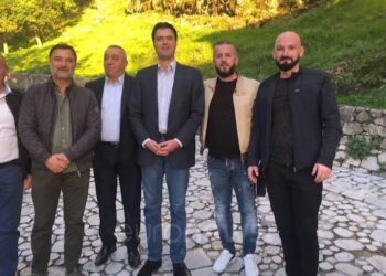A po përgatit Lulzim Basha rikthimin në PD?