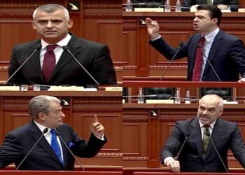 PBDNJ, koalicion me Berishën, Alibeajn apo Ramën? Dule: Ja ku do jemi më 14 maj, në tre bashki…!