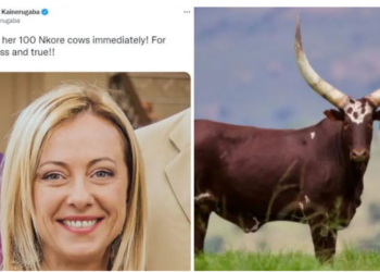 Djali i Presidentit të Ugandës i ofron 100 lopë Giorgia Melonit: Një dhuratë e tillë, në kulturën tonë