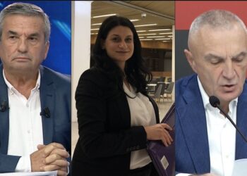 Grabitja e floririt në Krrabë/ SPAK mbyll 1 nga 5 dosjet e Metës: Ka kaluar shumë kohë, janë dënuar 5 vetë! Avokati ankimon: Favorizon hajdutët