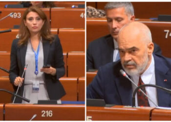 Konflikti Athinë-Ankara/ Rama debaton me anëtaren e Greqisë në KiE: Nder e privilegj që jam mik me Erdogan e Mitsotaqis. Gjyshja ime…!