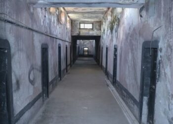 Kërkesa epike nga burgu i Shkodrës: Dua të dal se më rrezikohet martesa, kam gruan shtatzënë e s’ka kush i bën punët
