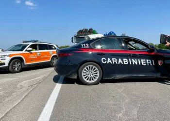 Po luante në oborr, 11-vjeçarja shqiptare plagoset aksidentalisht me sfurk
