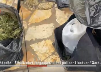 Emrat/ Laboratori i drogës në Shkodër, gjykata vendos për 16 të arrestuarit: Lirohen gratë ‘punëtore’, 3 mbeten në qeli