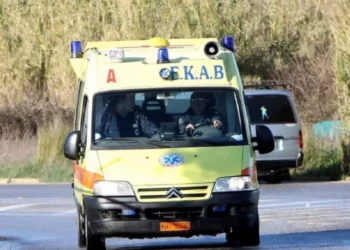 Ngjarje horror! 35-vjeçari shqiptar gjendet i vdekur në një fushë, i kishin prerë fytin me sharrë elektrike