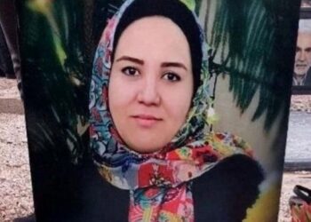 VIDEO/ Ishte në makinë dhe po filmonte protesta në Iran, gruaja qëllohet për vdekje në sy të fëmijës 7-vjeçar