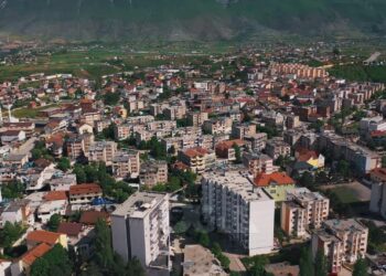 Familjet e mëdha, Kukësi qarku më numrin më të madh të anëtarëve