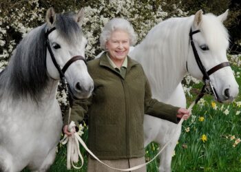 12 kuajt e Mbretëreshës Elizabeth II dalin në ankand