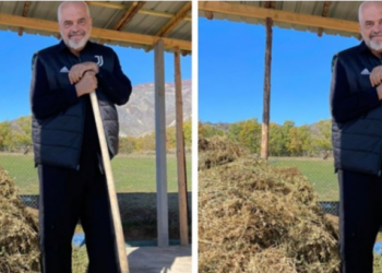 FOTO/ Me sfurk në dorë, Rama pozon si fermer pranë mullarit me bar