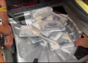 Korrieri shqiptar në Itali kapet me 20 kg kokainë në makinë