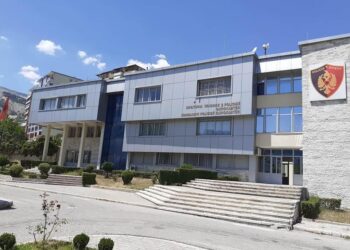 “Urgjenca”/ Operacioni i policisë në spital, vihet në pranga një 47-vjeçar. I ‘fiksuar’ pas mjekeve dhe infermiereve…!