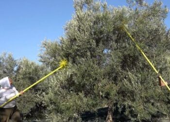 Vendi fqinj në kërkim të punëtorëve sezonalë, pronarët rrisin pagesat për të afruar krahun e punës