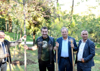 Tirana i bashkohet Shkupit e Prishtinës, mbillen 25 fidanë nga farat e bredhit të Nënë Terezës, Veliaj: Na duhen më shumë nisma të tilla që bashkojnë