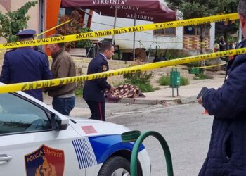 Masakra me 3 të vrarë në Klos, lirohen 2 vëllezërit e autorit