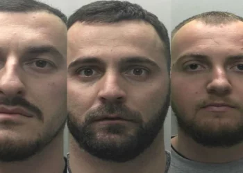 EMRAT/ Dënohen tre shqiptarët në Angli! Ndërtuan shtëpi bari, vlera e kanabisit rreth 700 mijë paund