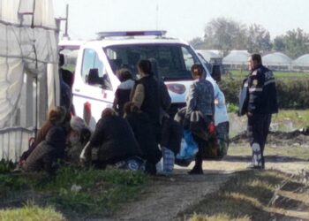 Sera me drogë ku punonin 98 gra në Berat, hetohet roli i policisë, dyshime se kishin dijeni për kanabisin