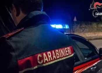 Kapet ‘mat’ nga qeni i antidrogës me kokainë, arrestohet shqiptari në Itali