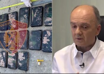 33 kg kokainë në ngarkesën me banane, kush është pronari i kompanisë i shpallur në kërkim