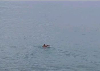 VIDEO: Qytetari nga Vlora sfidon temperaturat e ulëta, lahet në det