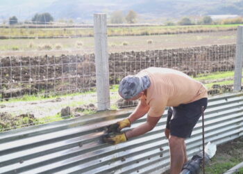 “Nuk është vetëm hashashi këtej”. Njeriu që la emigrimin për të mbarështuar dhe rritur kërmij në fshat