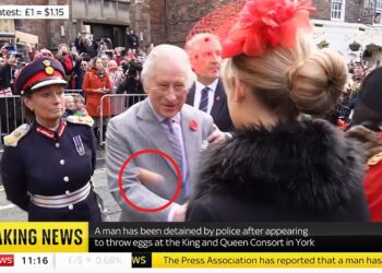 VIDEO/ Arrestohet i riu britanik, sulmoi me vezë mbretin Charles dhe bashkëshorten e tij