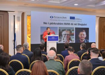 BERZH dhe BE rrisin konkurueshmërinë e bizneseve shqiptare: Sipërmarrjet e vogla dhe të mesme mund të aplikojnë për hua dhe grante!