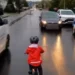 Videoja që po çmend rrjetin, 5-vjeçari i jep biçikletës në rrugën plot makina ndërsa i ati e filmon