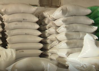 Fermerët refuzojnë ta shesin me çmim të ulët, gruri mbetet në magazina