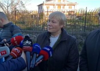 Pas debateve në Kuvend/ Ambasadorja Hohmann: Ja pse BE u tërhoq nga granti 28 milionë euro për Portin e Durrësit