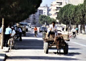 Idiotësitë e tranzicionit shqiptar