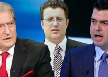 Avokati akuzon Sali Berishën si vrasës të Sokol Olldashit: E bëri për t’i dhënë detyrën e kryetarit të PD, Lulzim Bashës