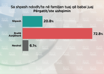 Sondazhi i nxjerr zbuluar: Burrat shqiptarë nuk bëjnë punë shtëpie