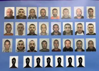 Operacioni antidrogë “Knock Down 2”, shkon në 26 numri i të arrestuarve