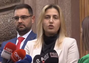 PD çon në Kushtetuese koncensionin e Butrintit, Zhupa: Kemi ardhur me 36 firma, mes tyre edhe PL