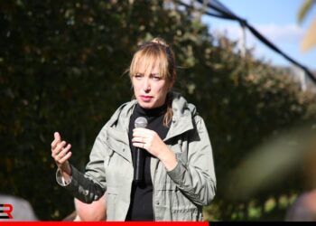 Fermerët presin subvencionin për grurin, Krifca: Do të ndahen brenda muajit dhjetor