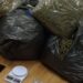 Aksion antidrogë në Greqi/ Në pranga dy shqiptarë, iu gjetën në banesa sasi të mëdha marijuane