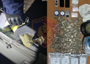 E përfshirë edhe motra e tij/ Shpërndante lëndë narkotike në Tiranë, 30-vjeçari kapet me 2.5 kg kanabis