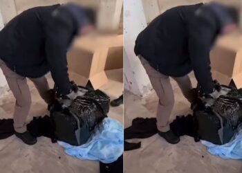 Kapen mbi 116 kg marijuanë në Athinë, arrestohet në flagrancë taksisti shqiptar bashkë me një 31-vjeçar grek