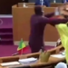 VIDEO/ Plas sherri në parlamentin e Senegalit, deputetët përleshen me grushta dhe karrige gjatë seancës