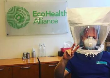 Virologu publikon videon: Covid-19 doli nga laboratori, u eksperimentua me lakuriqë nate…