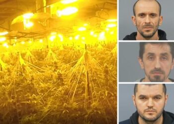 Tre shqiptarë kapen në ‘shtëpi bari’ në Britani: Duhet të shlyenimin borxhin prej 25 mijë paund