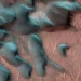 FOTO: ​NASA tregon pamjen se si duket dimri në planetin Mars